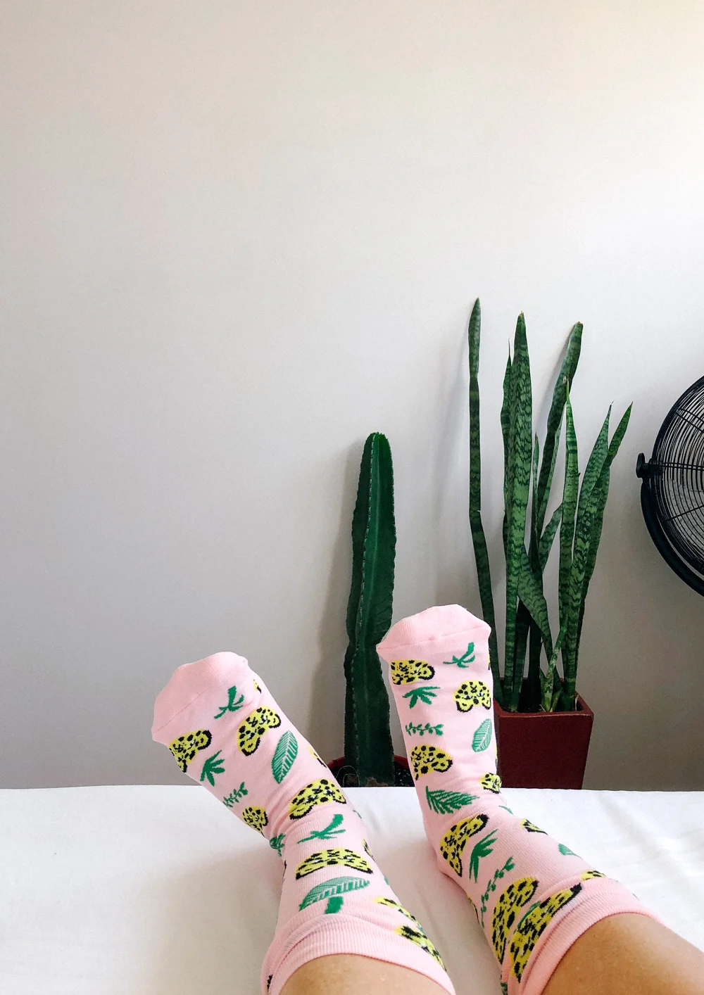 WEB_SOCKS2.jpg