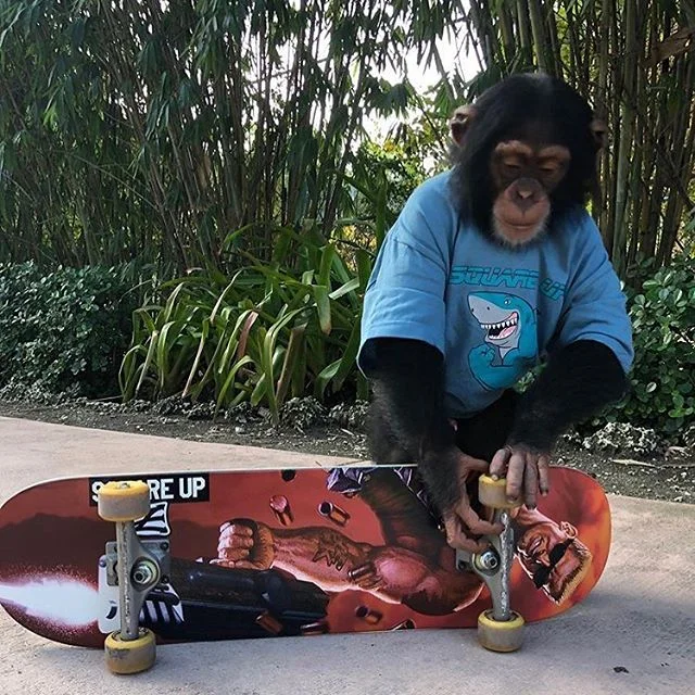 You know what it is @limbanizwf is squad now