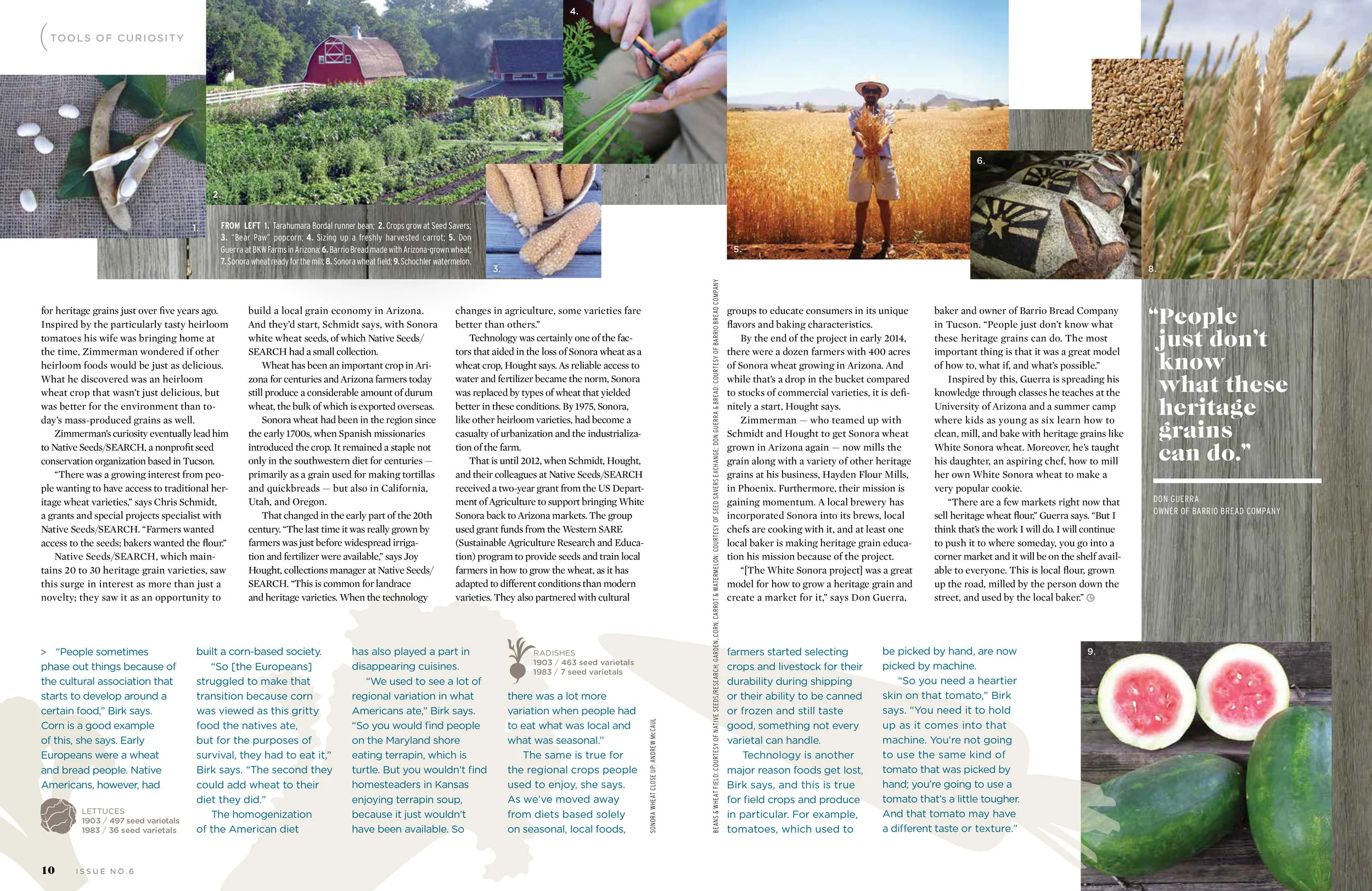 04_Curiosity_Issue6.jpg