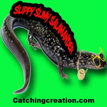 Slippy Slimy Salamander Rap Video