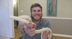 I Got A New Snake