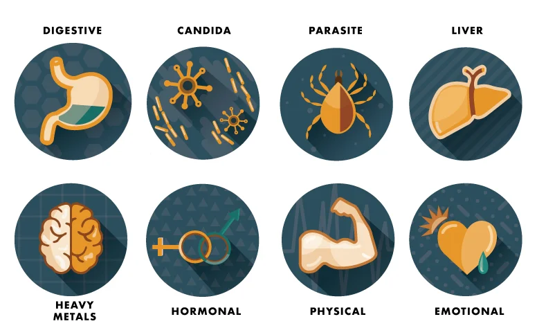 healus_newicons.behance.jpg
