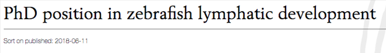 If you are fascinated by developmental biology and would like to discover the fun processes shaping lymphatic vessel development in zebrafish here is a PhD opportunity that might be right for you! https://www.uu.se/en/about-uu/join-us/details/?positionId=212174