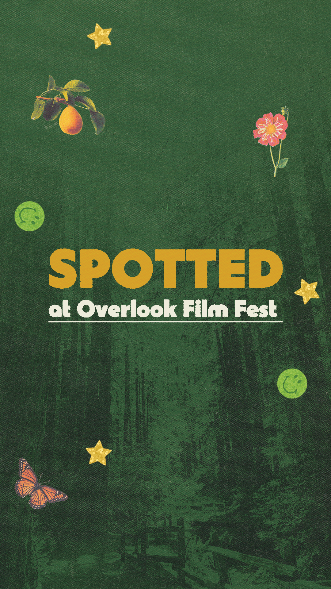 SPOTTED_1.webp