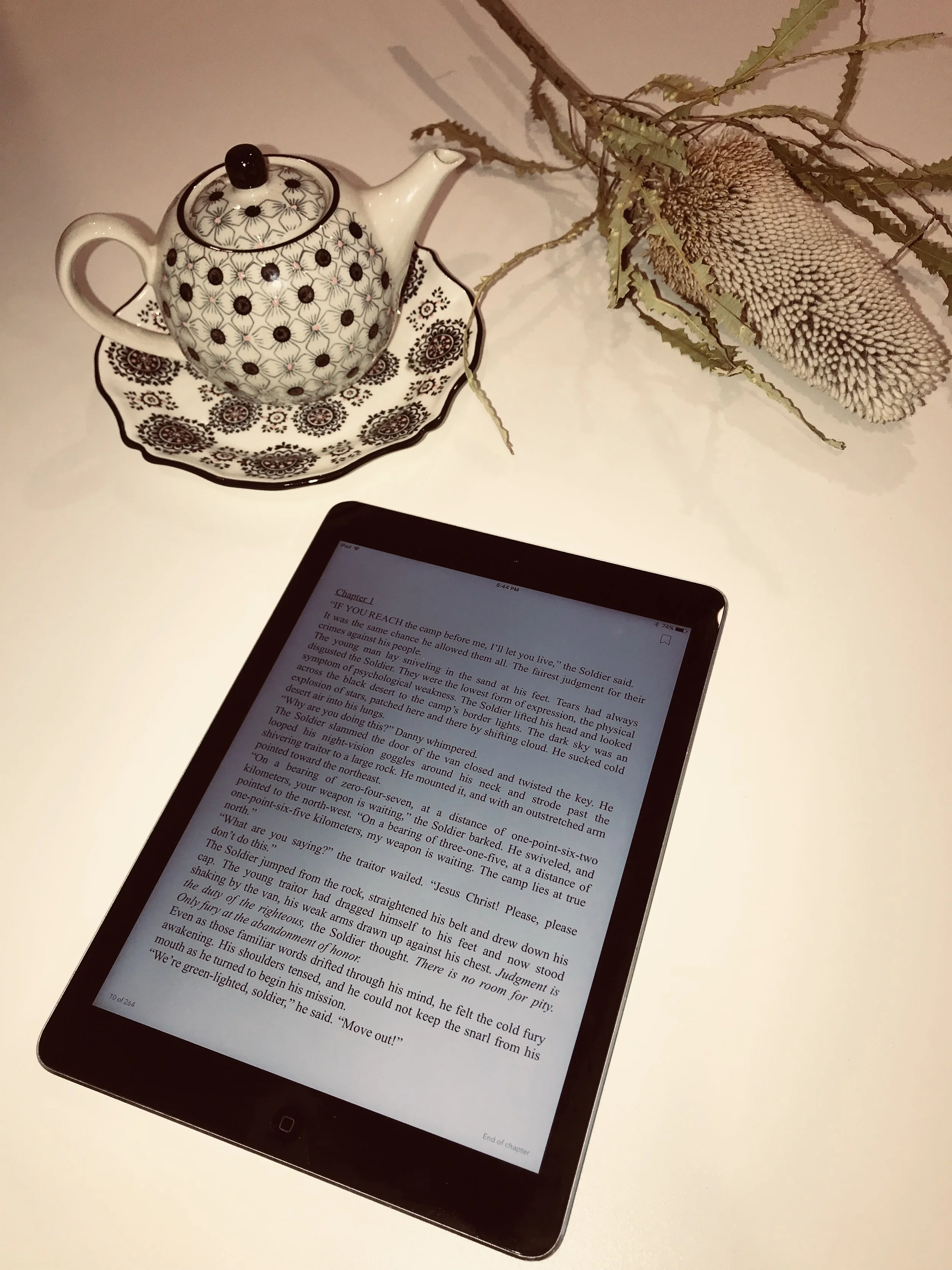 Gift Ideas for a Book Lover