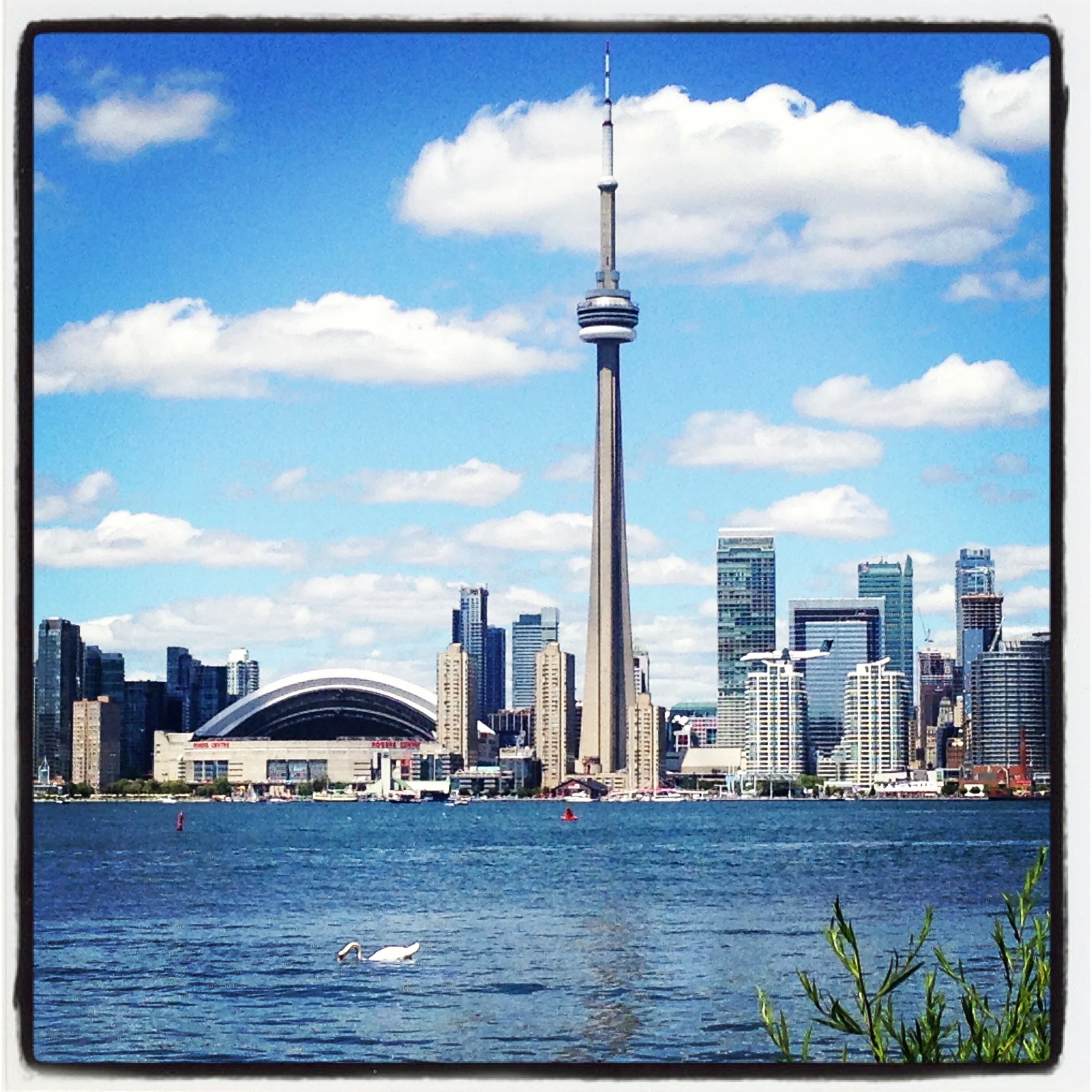 Things I Miss About Toronto