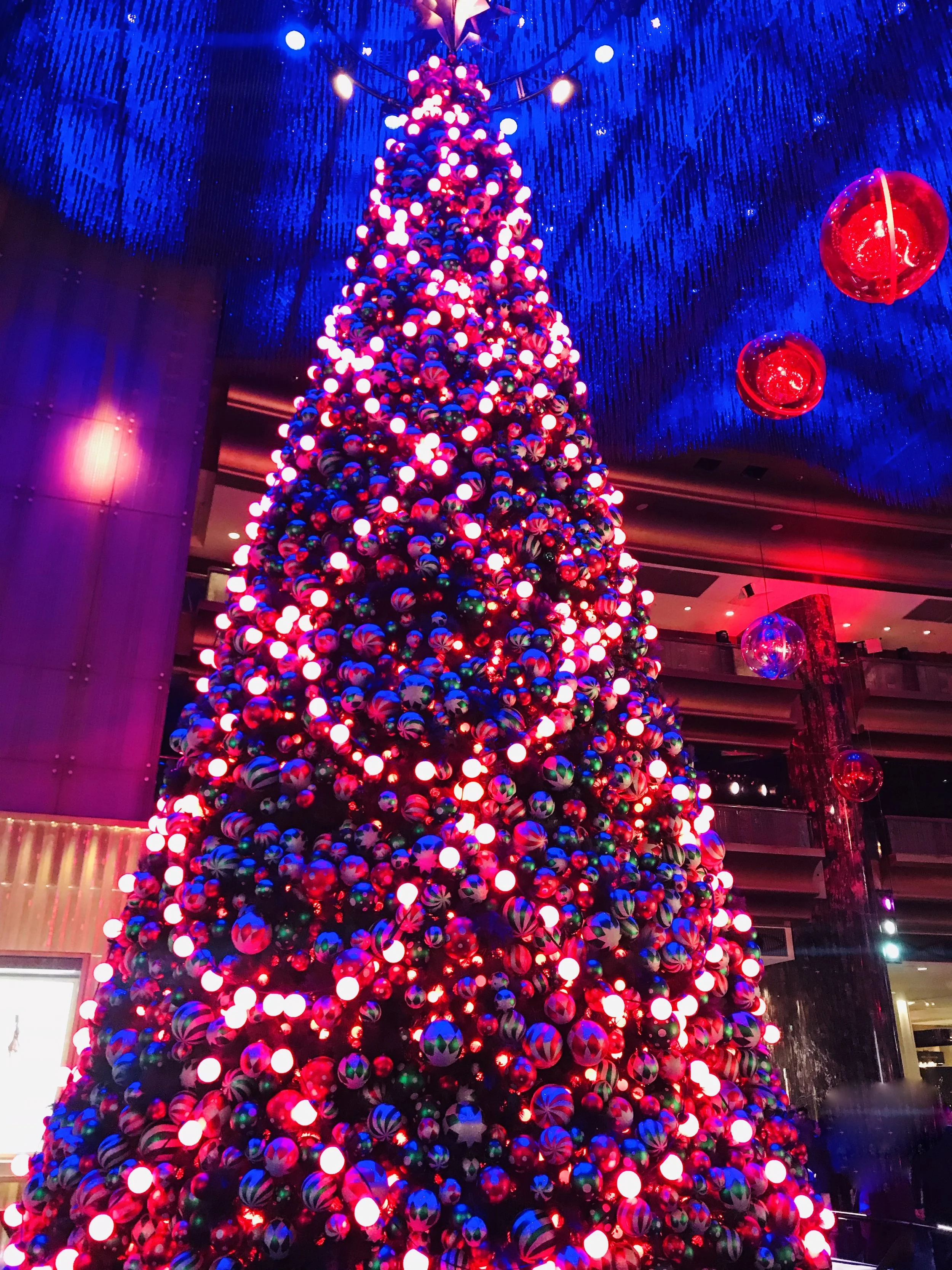 Gift Guide: Non-Fiction