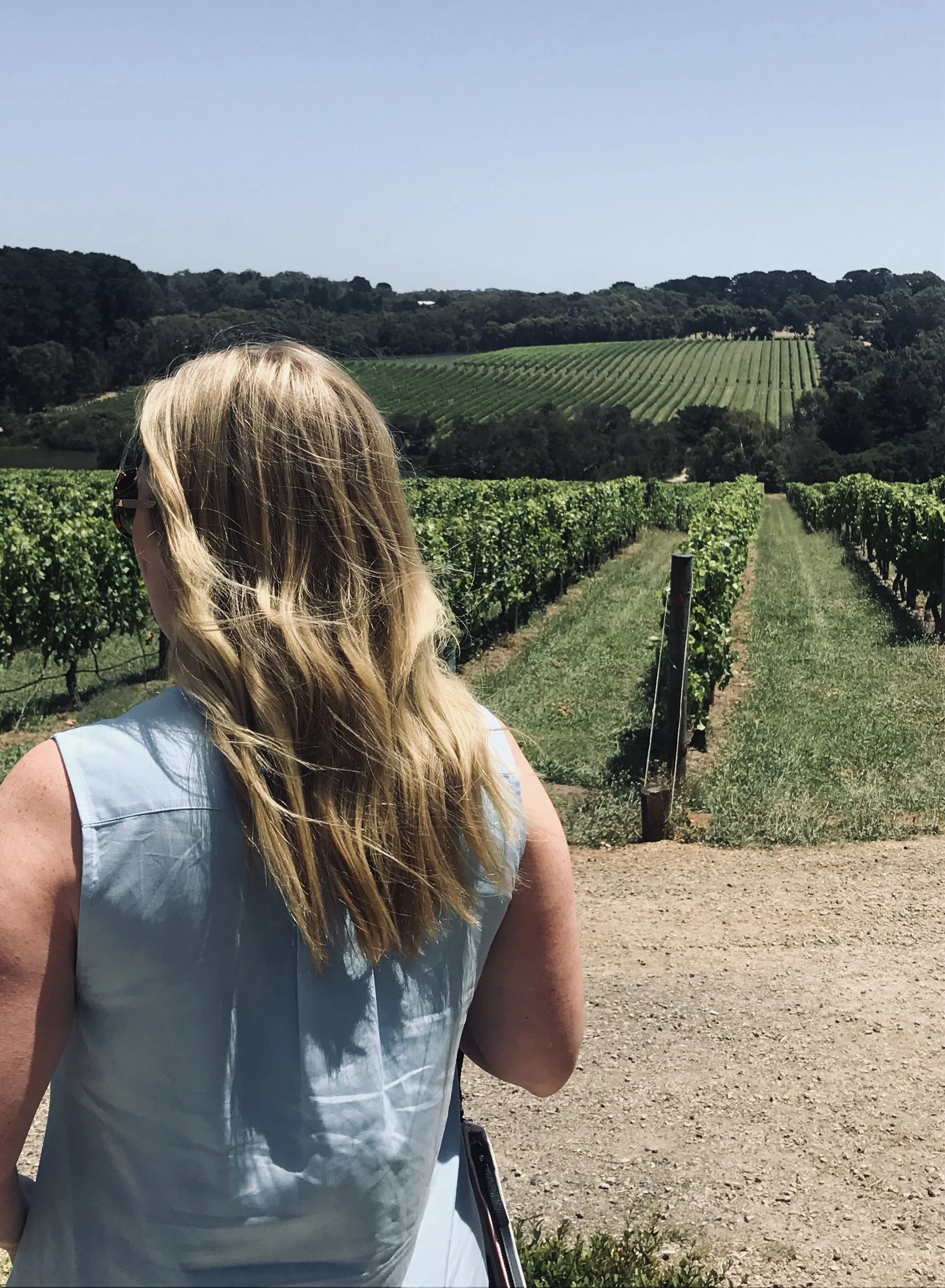 Day Trip to the Mornington Peninsula