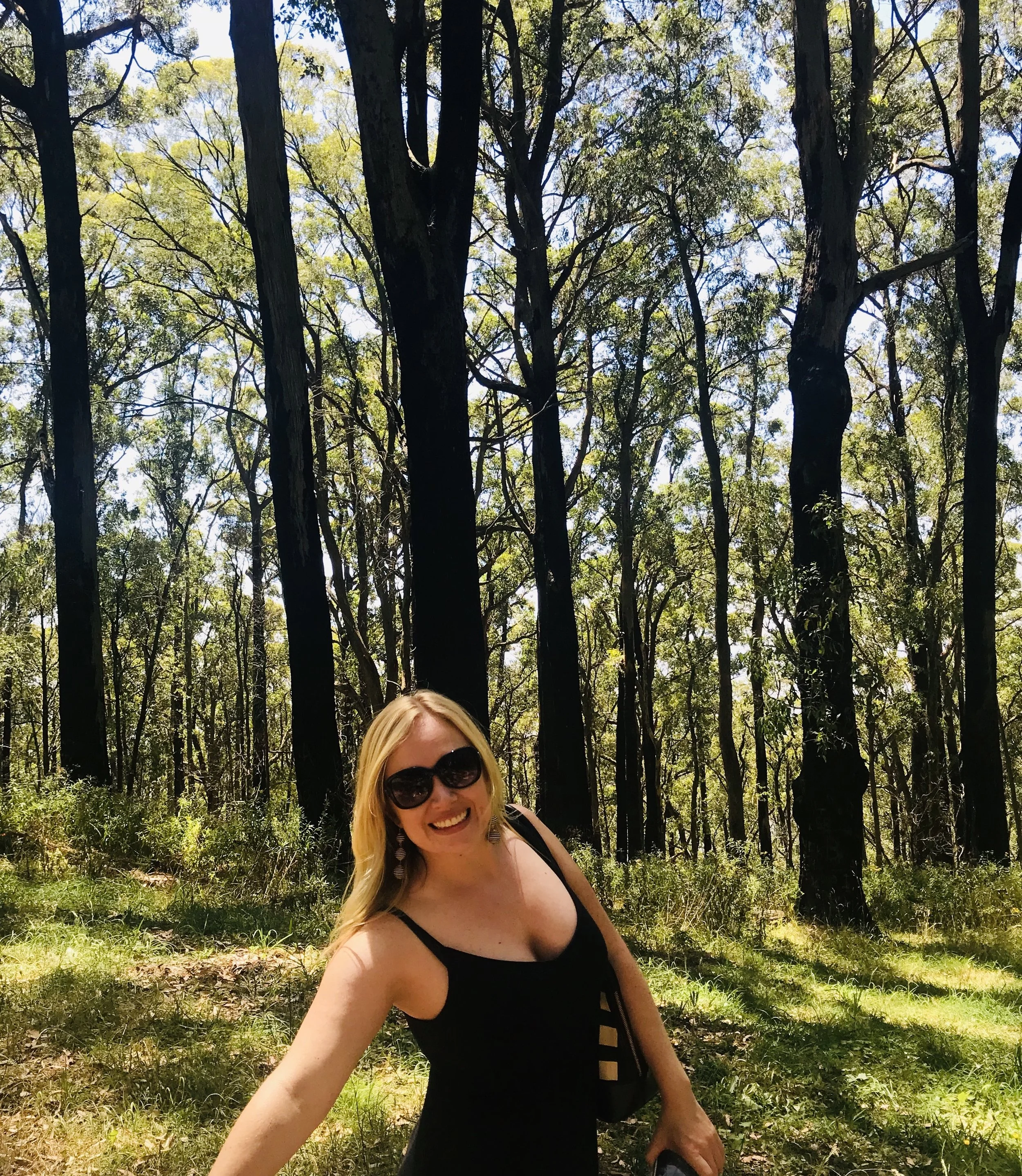 Day Trip to the Dandenong Ranges