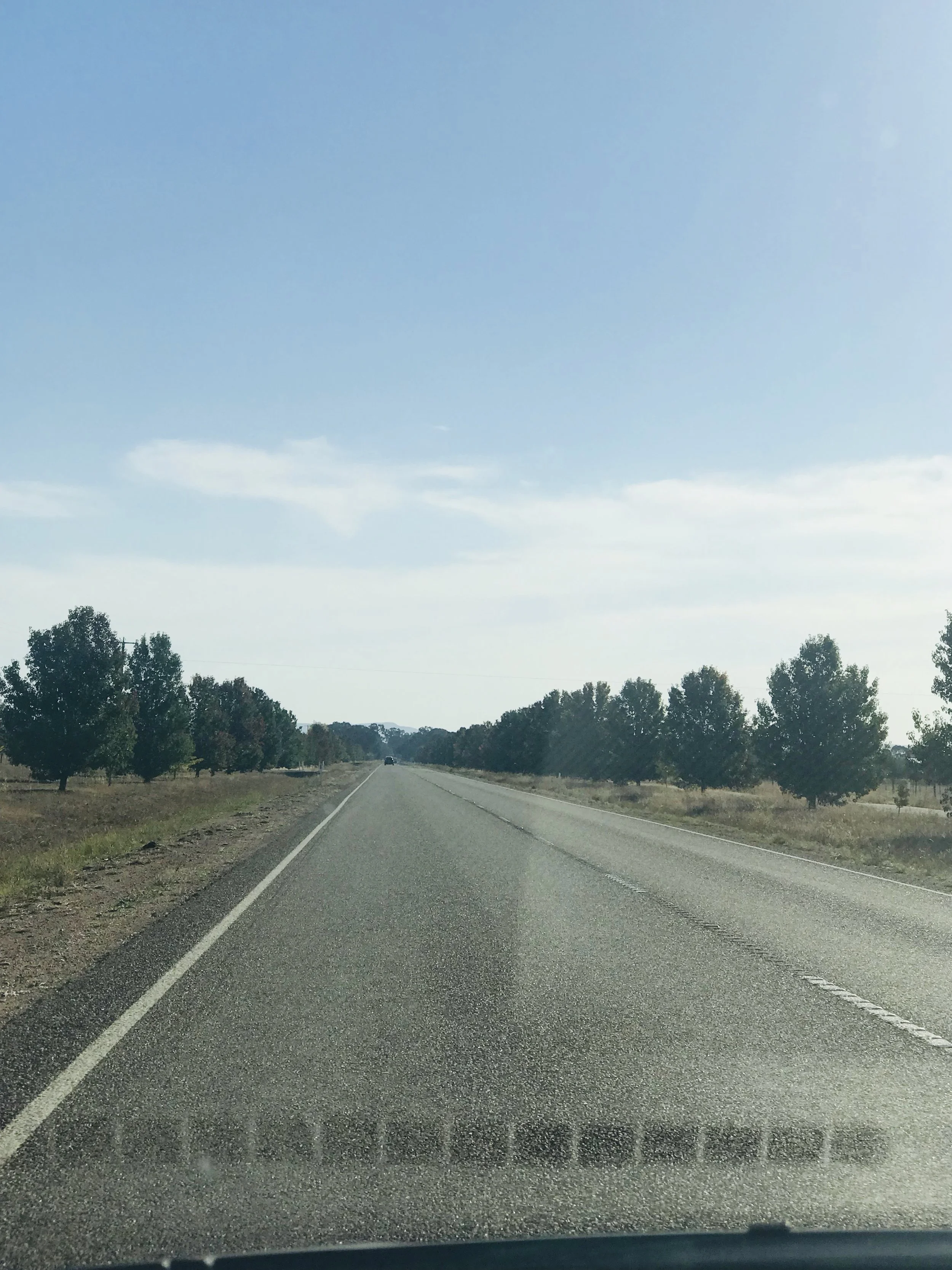 How to Survive a Road Trip