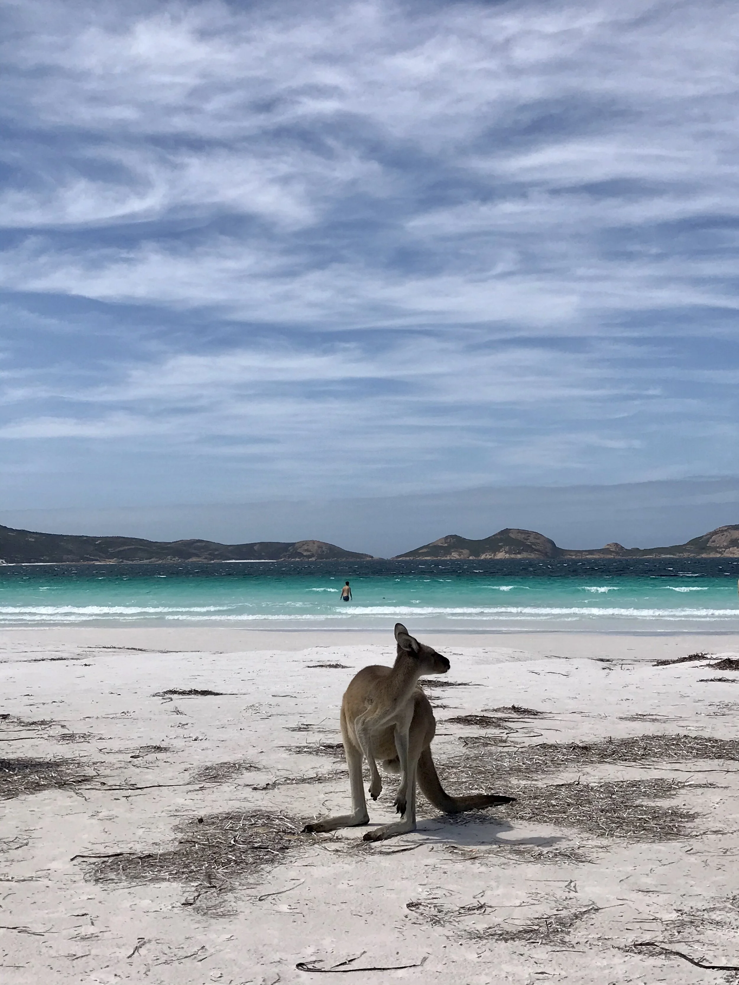 Lucky Bay - Esperance Trip (part 2)