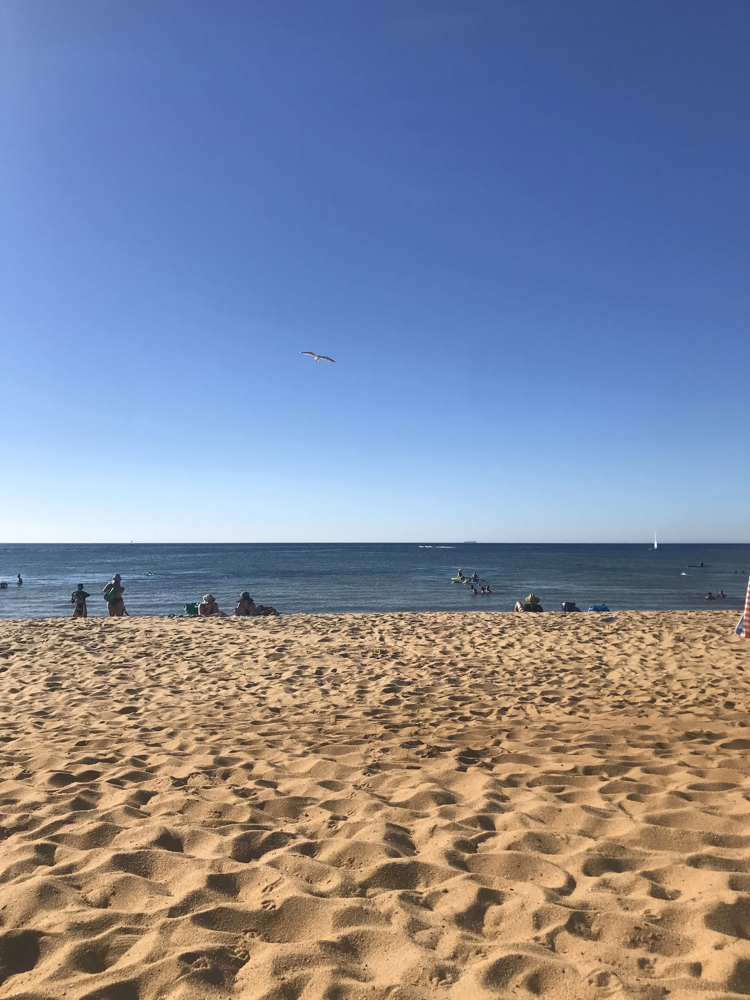A Day Trip to Mornington Peninsula