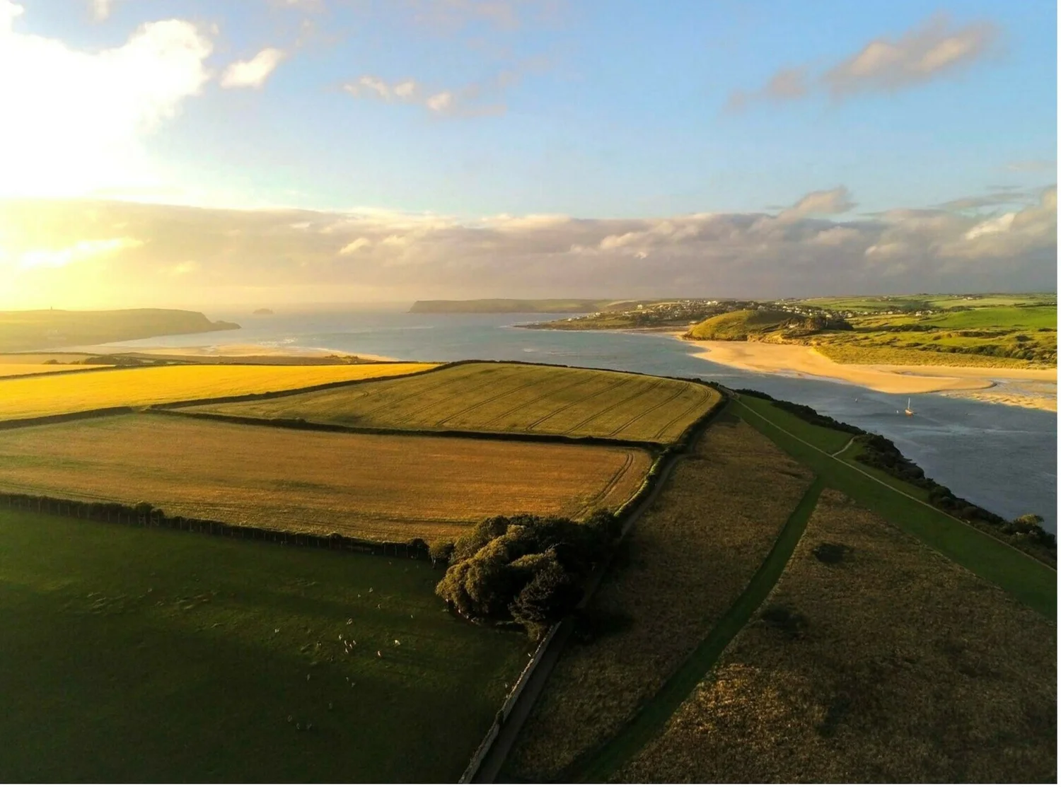 Estuary Guide
