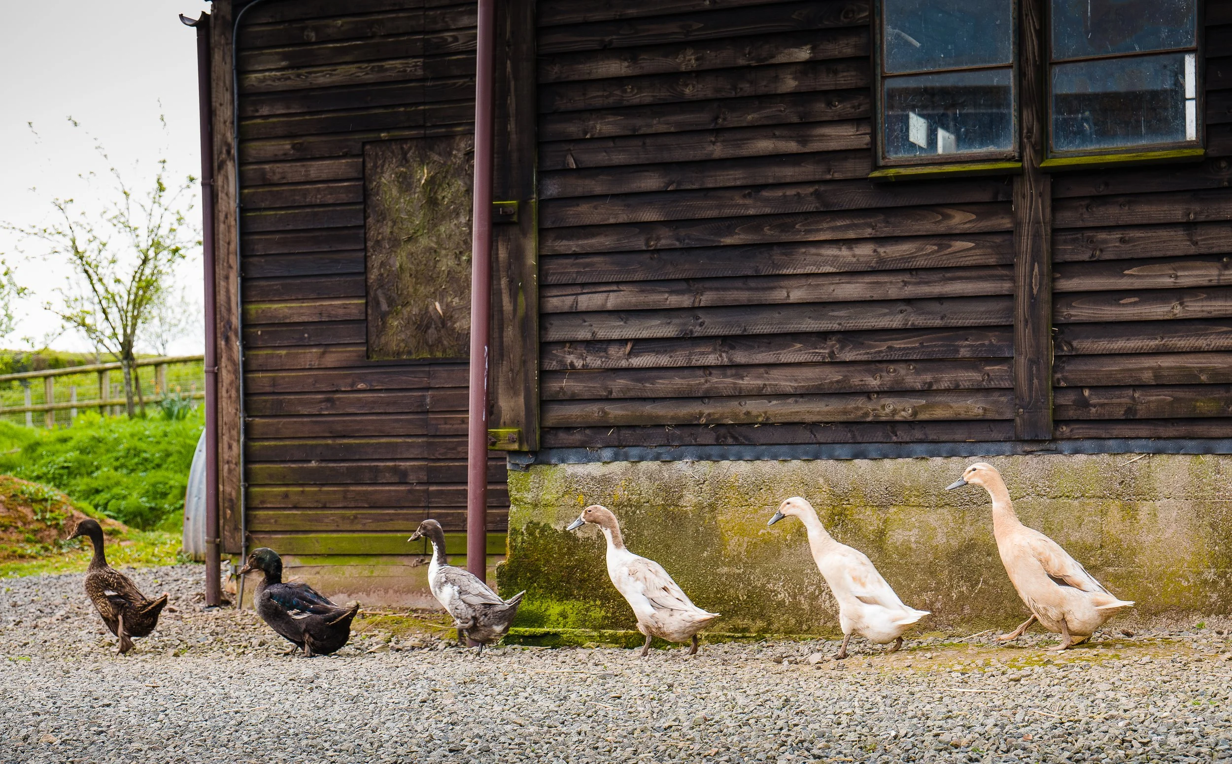  Experts in Exceptional Property 