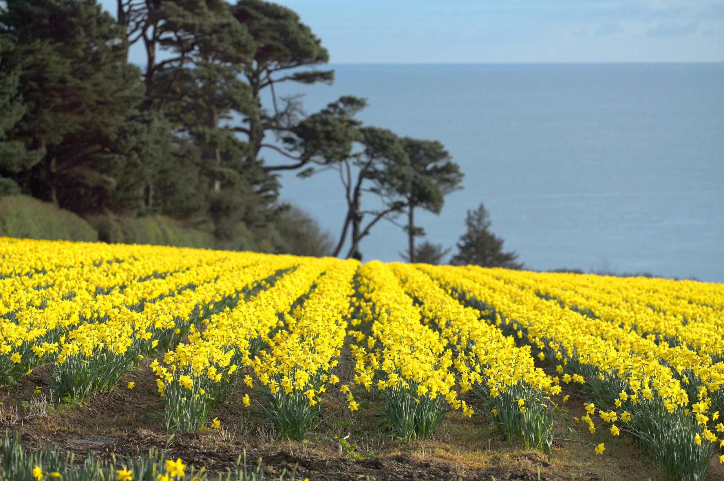  Experts in Exceptional Property 