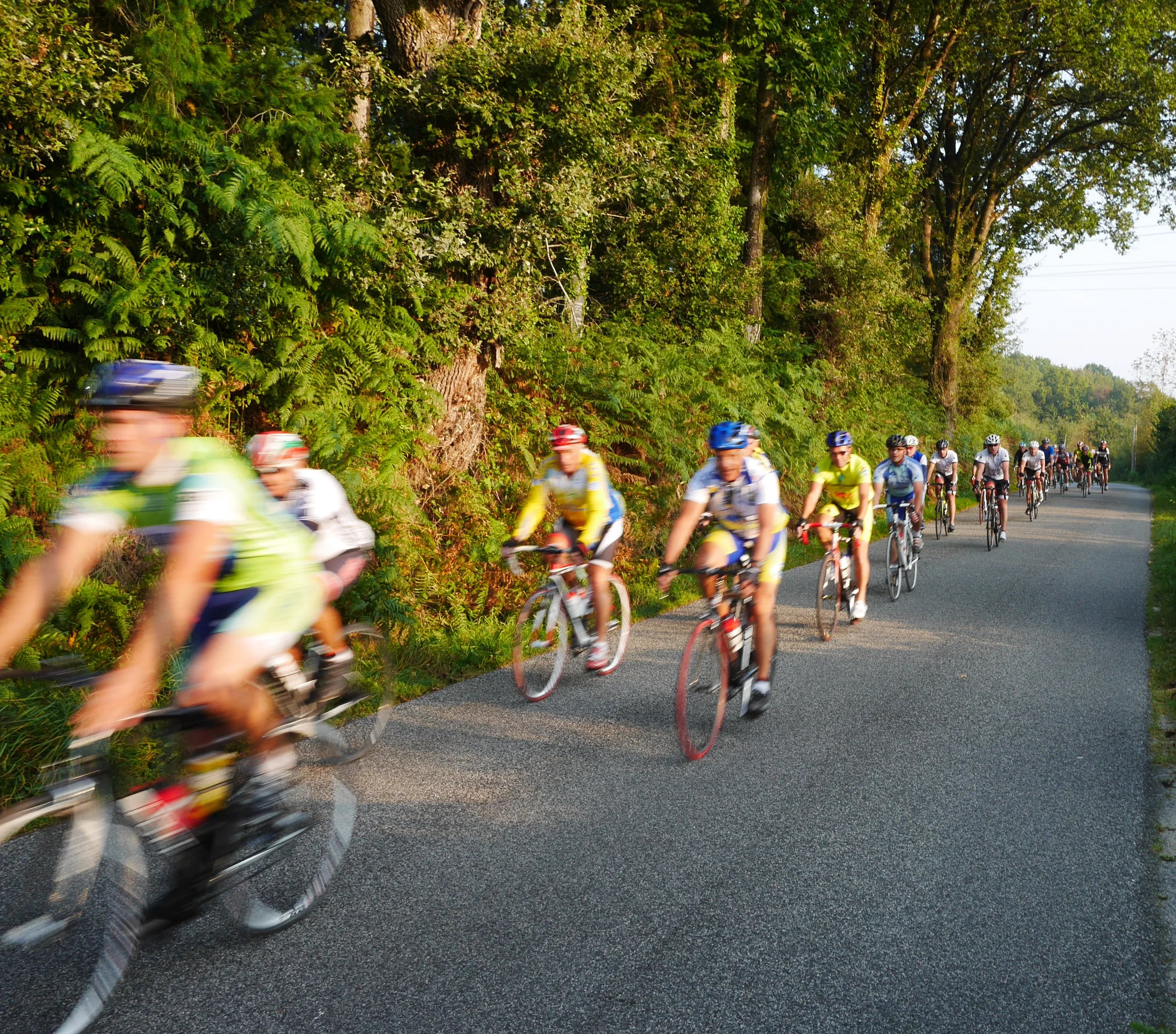  Experts in Exceptional Property 