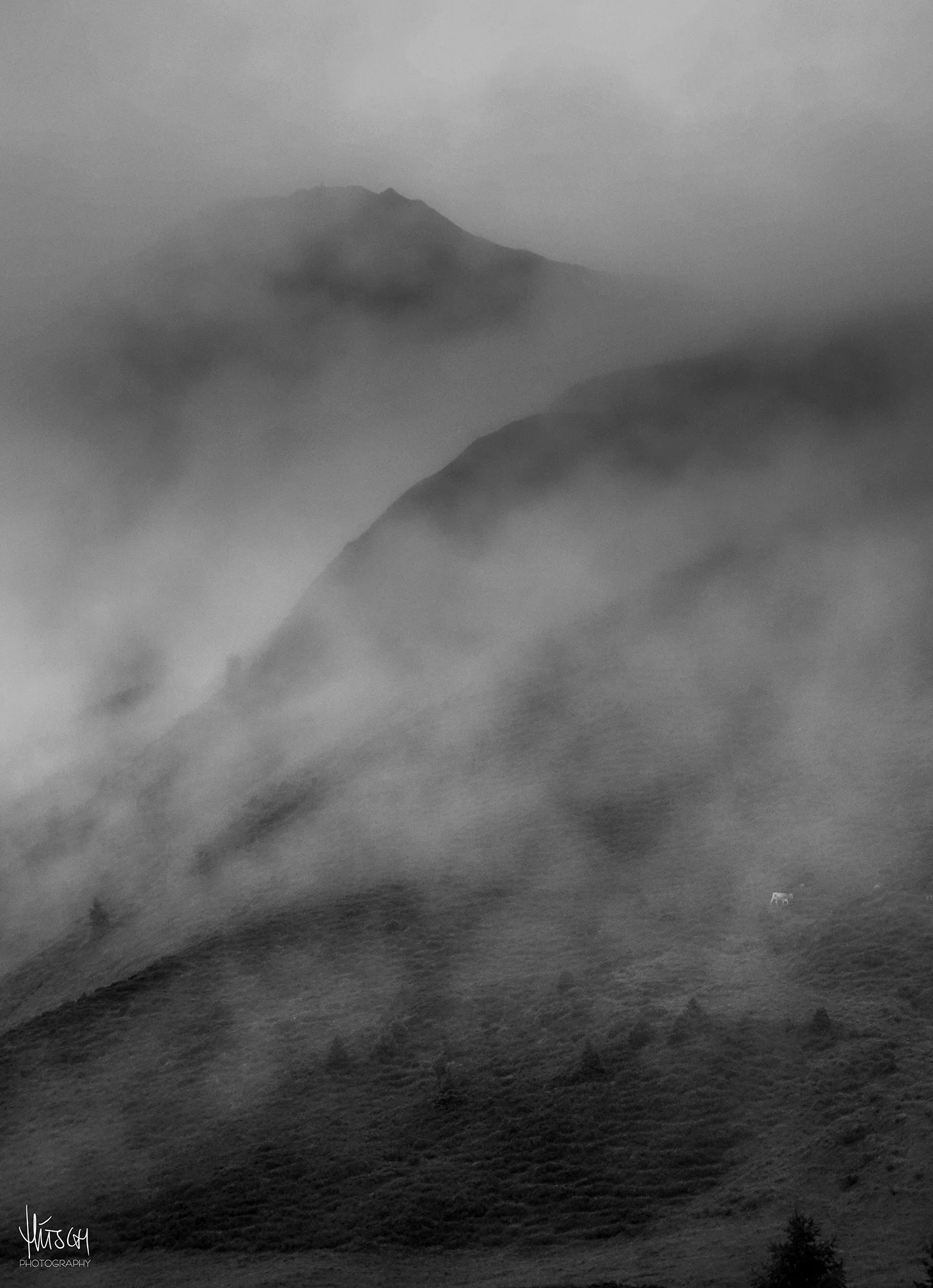 DLM_20160820_01934-Edit.jpg