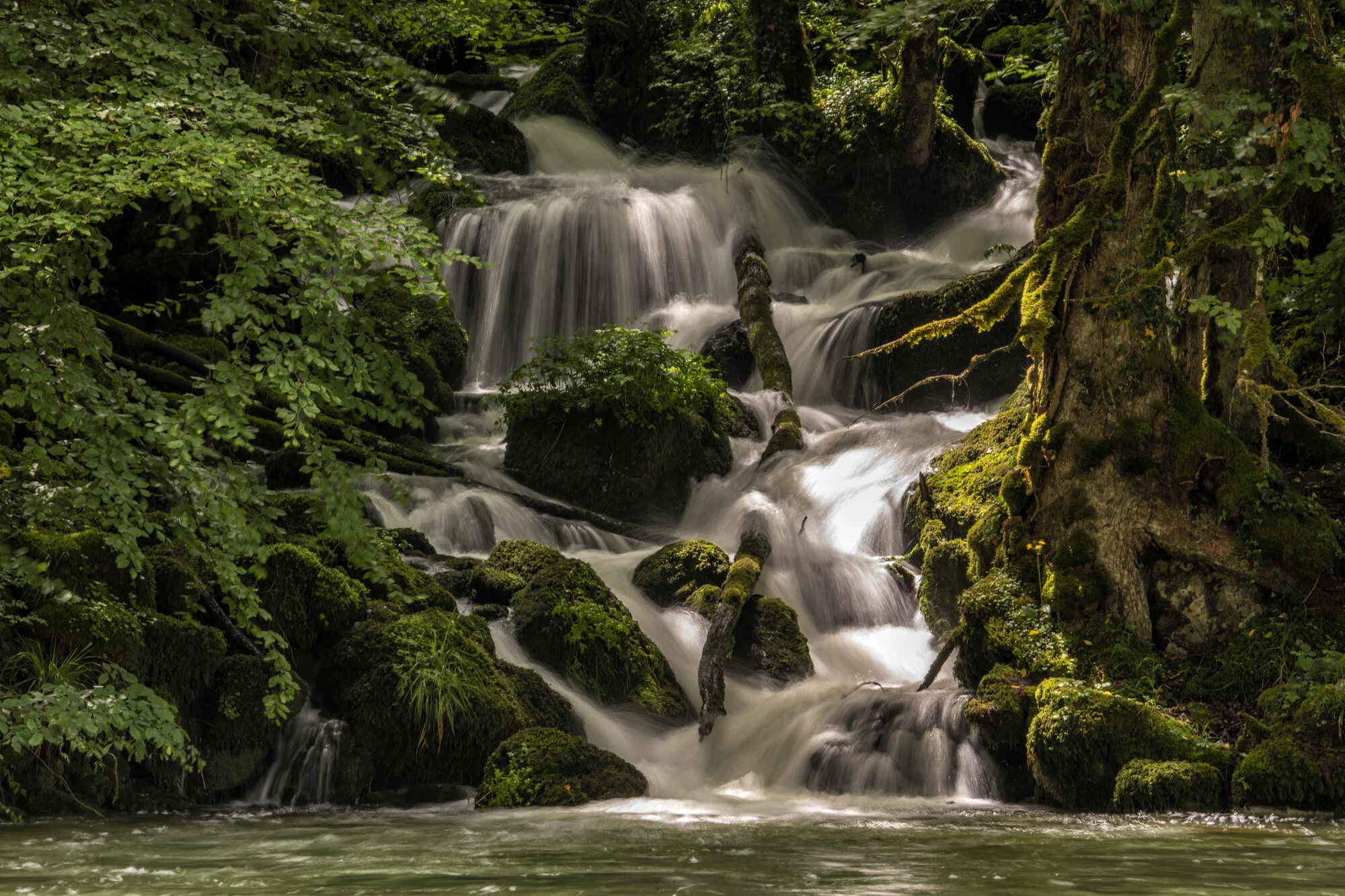 2019-06-16_untitled_0737-Edit.jpg