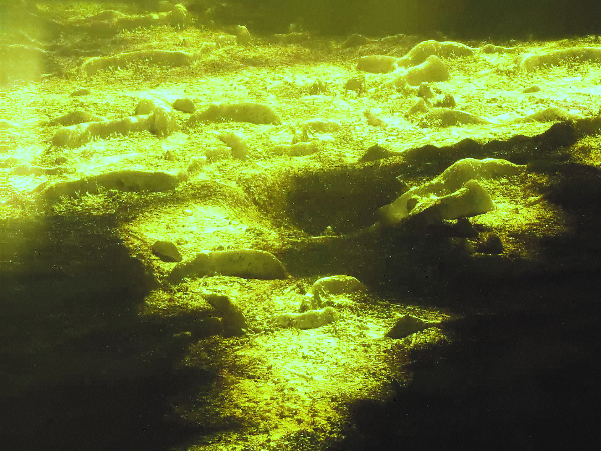 BEAUTIFULL DISASTER.00_00_10_09.Still013.png