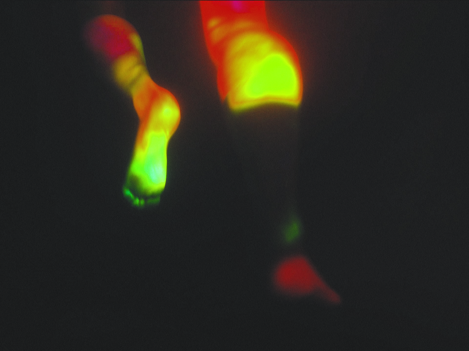 BEAUTIFULL DISASTER.00_00_19_04.Still005.png