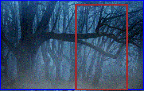 Tree (right side)
