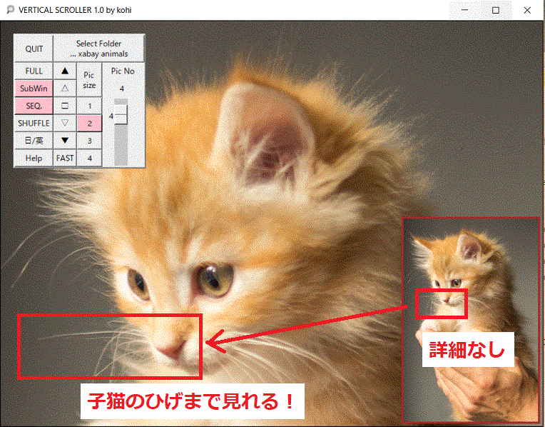 子猫 HP キャプチャ
