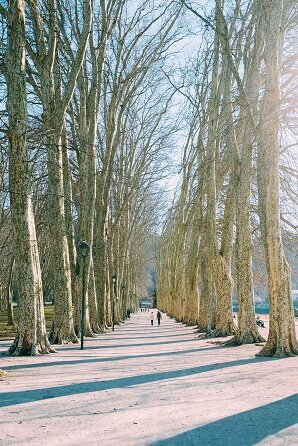 雪の公園