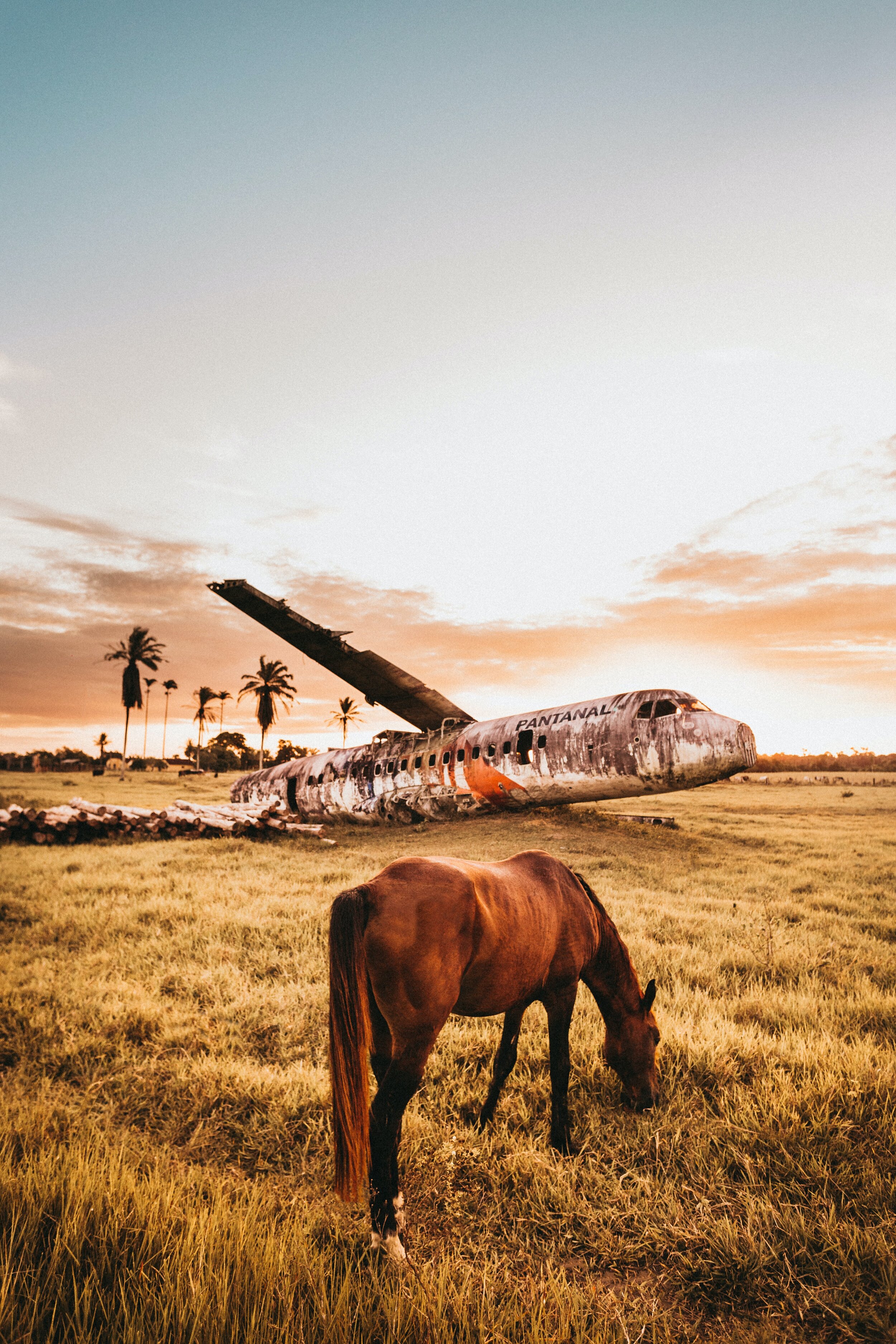 Horse and airplane
