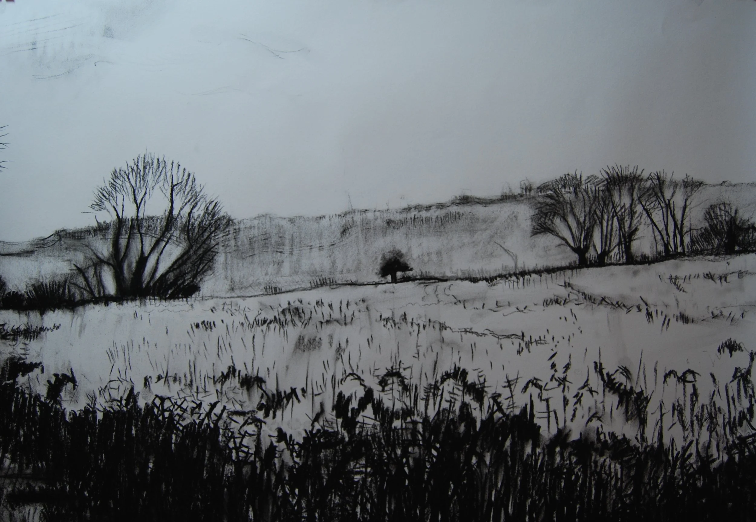Rapeseed overlooking Upper Heyford