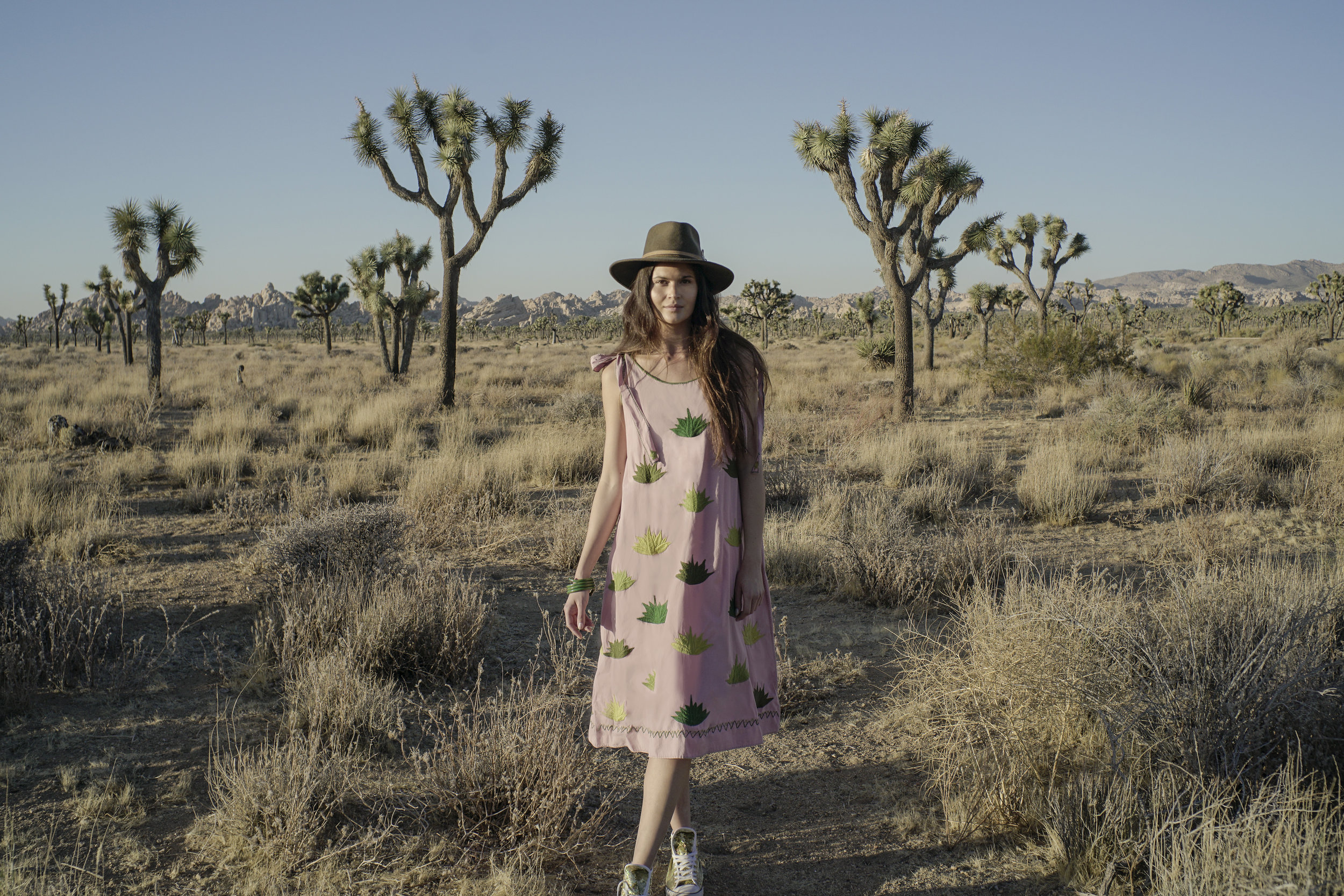 The Agave Dress 2.jpg