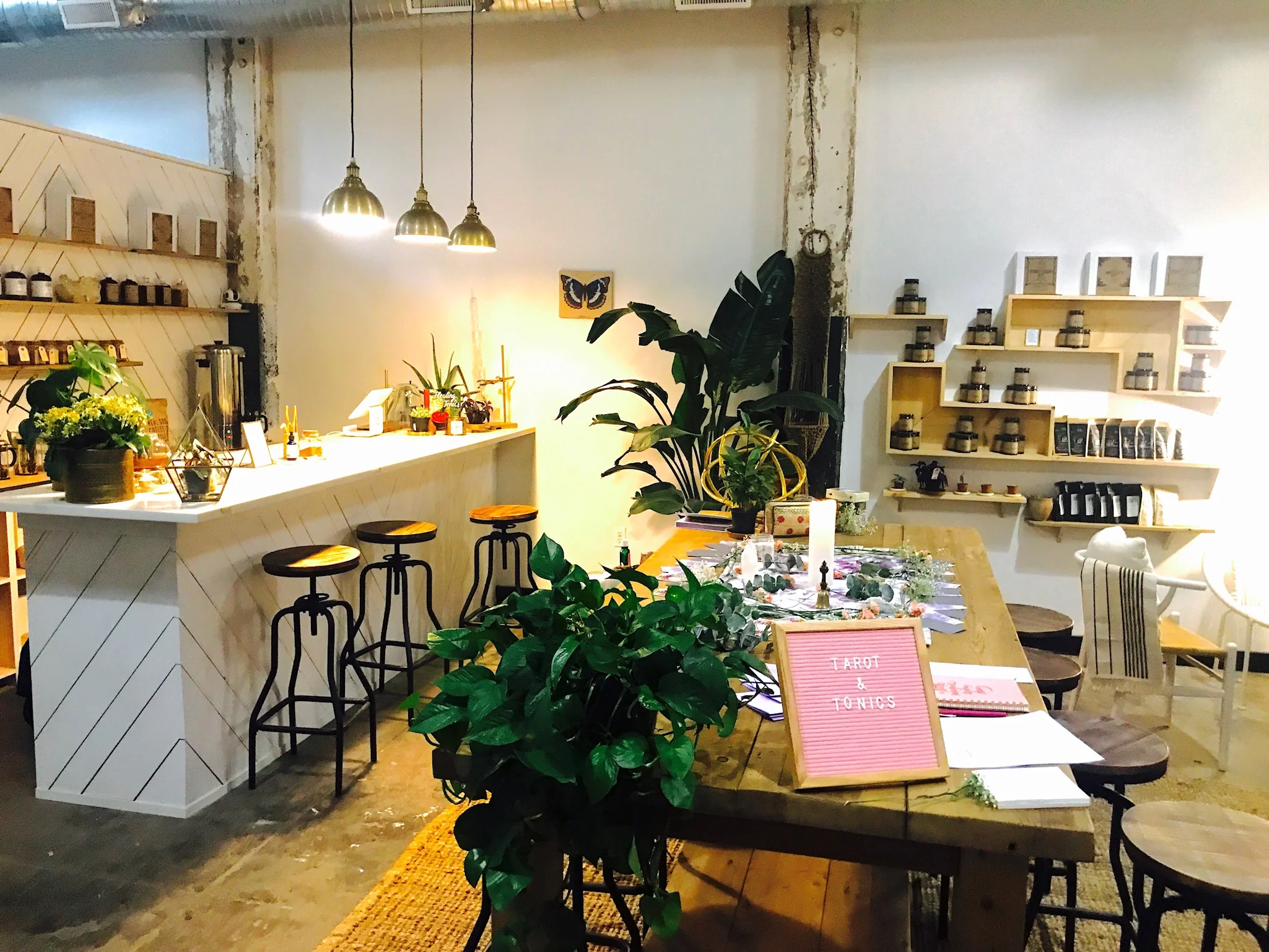 Tarot and Tonics Workshop at Anima Mundi Apothecary