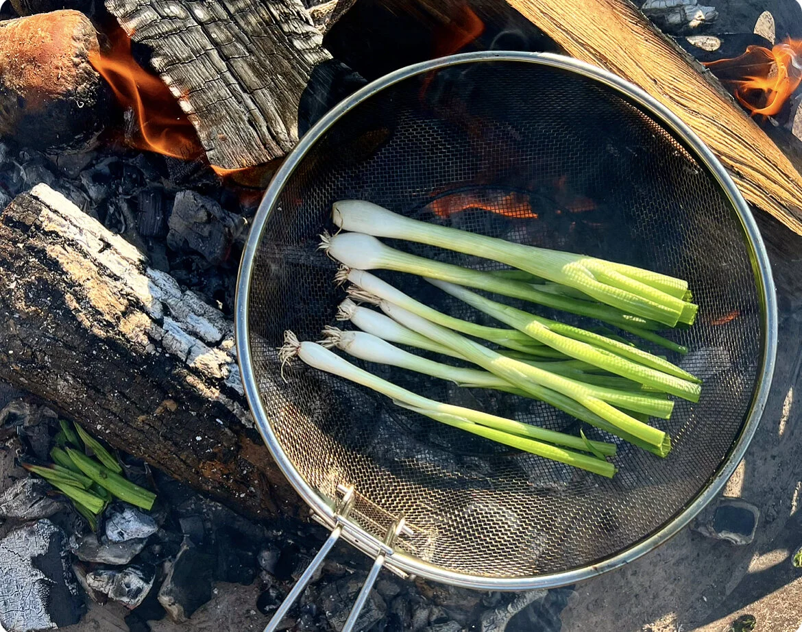 AA3555F7-F510-450A-8019-DBB38F11AD55