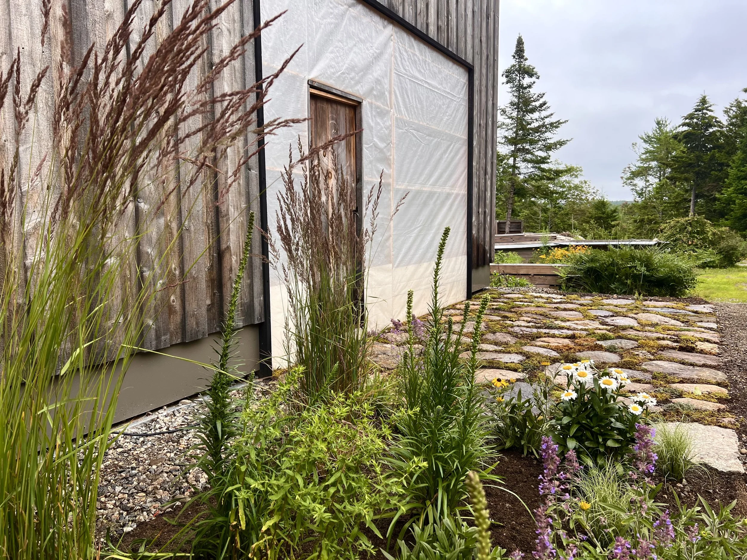 Patio Planting in Edgecomb