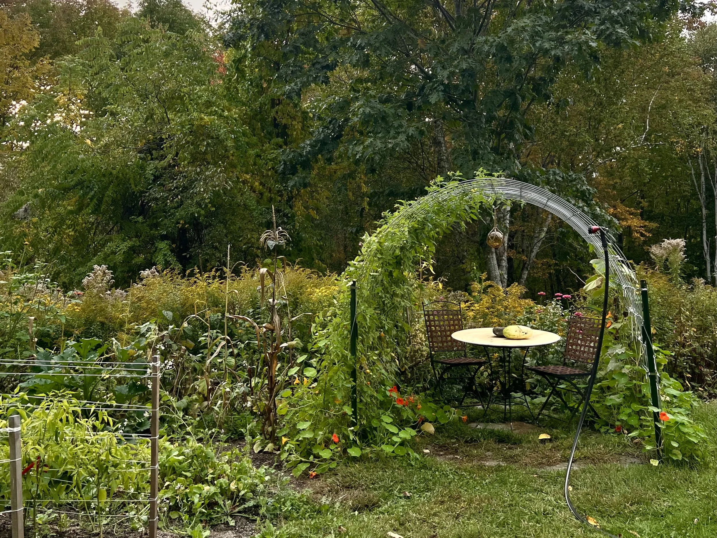 Rockport Garden.jpg