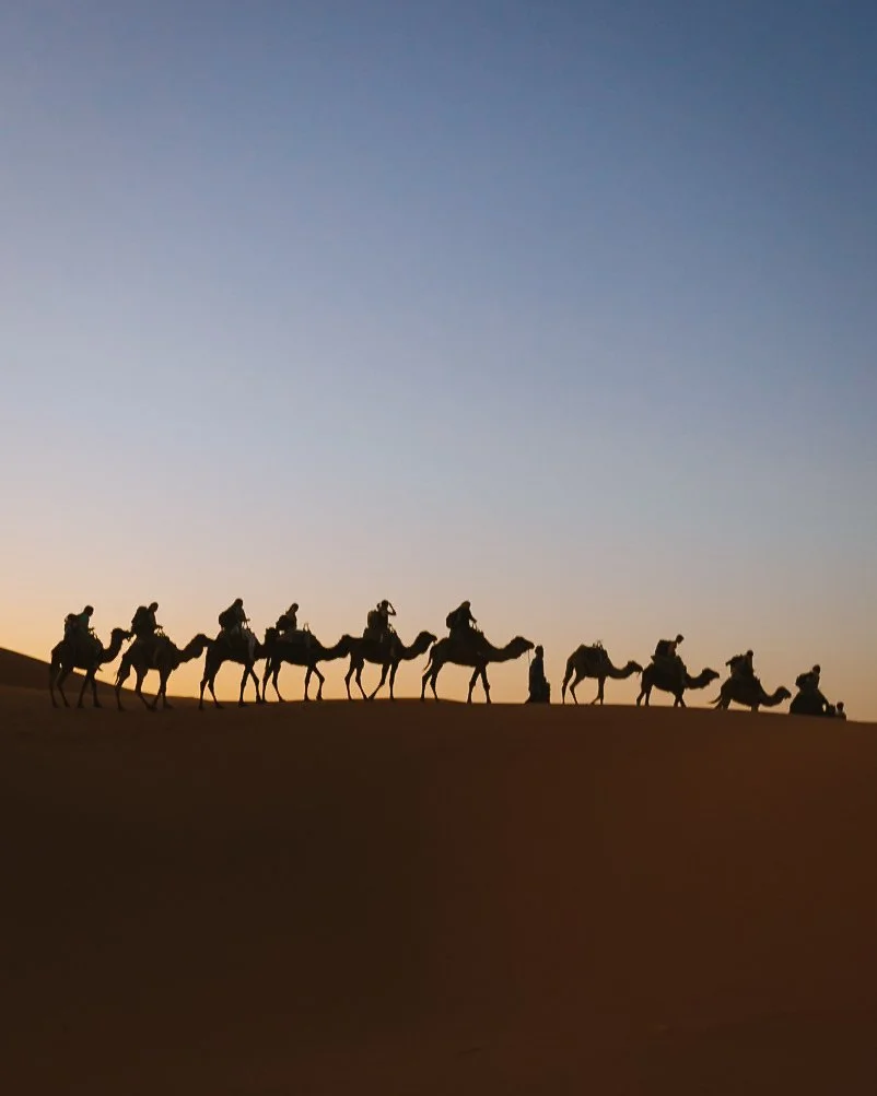 Sahara Sunset.jpeg