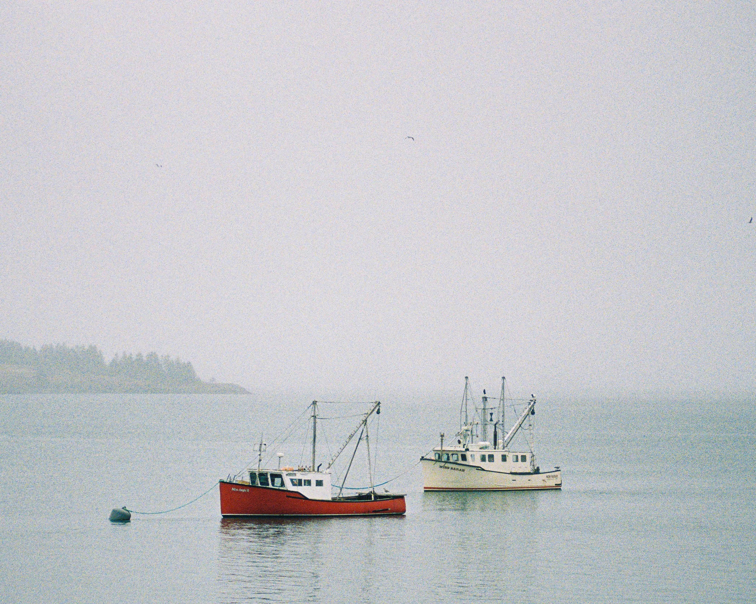 Sleepy Morning in Lubec Landscape.jpg