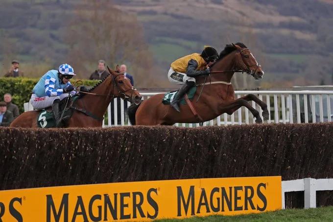 Croco Bay winning at Cheltenham