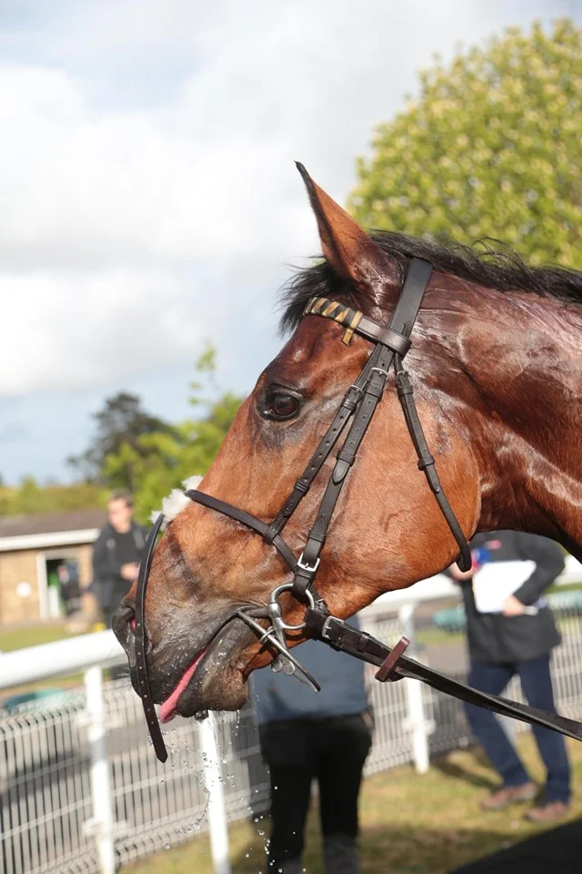 KTFontwell3.jpg