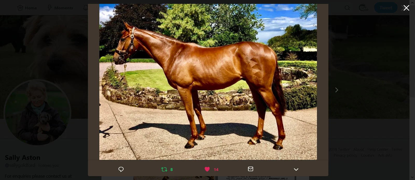 2016 Shantou / Vindonissa