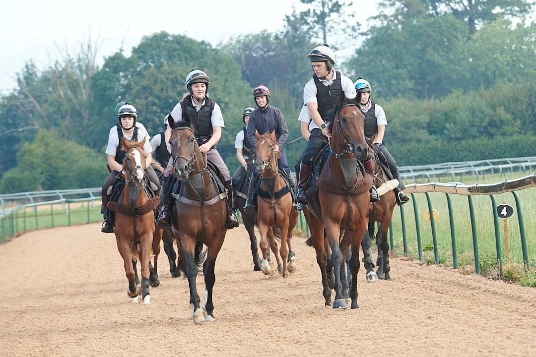 On the ground gallop