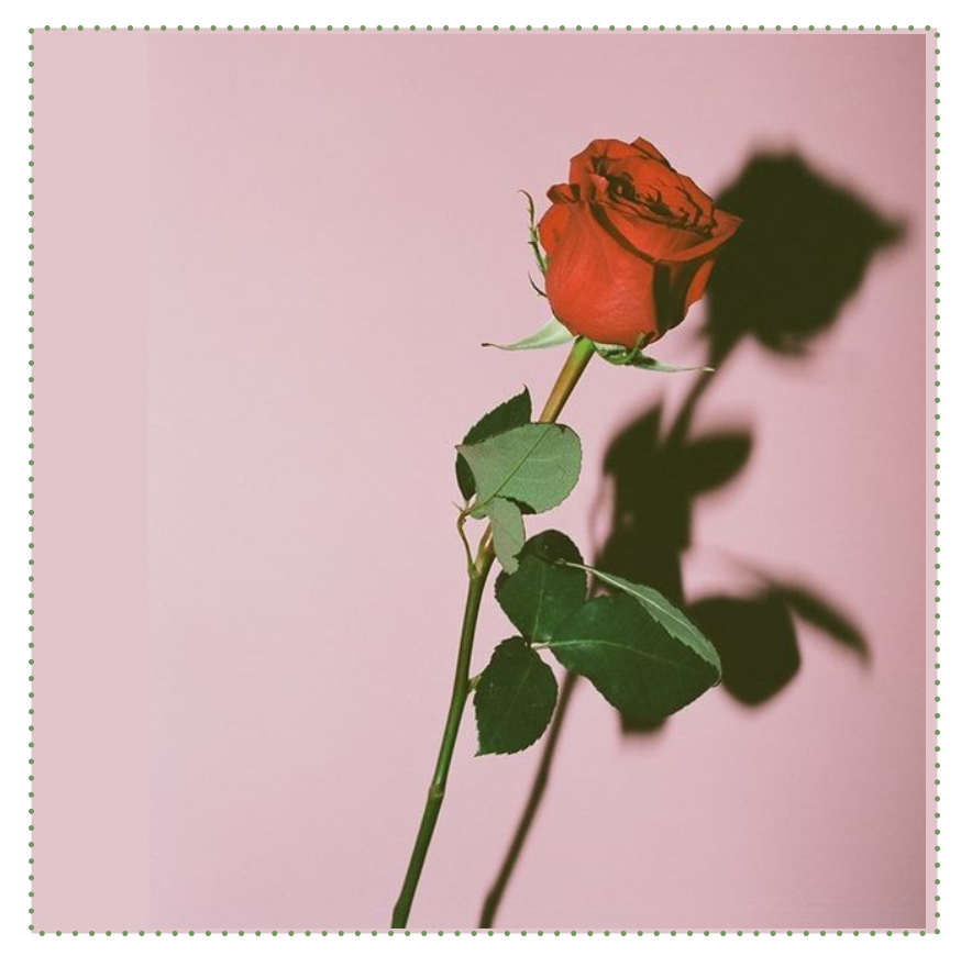 Screenshot 2019-04-04 at 12.28.47.png