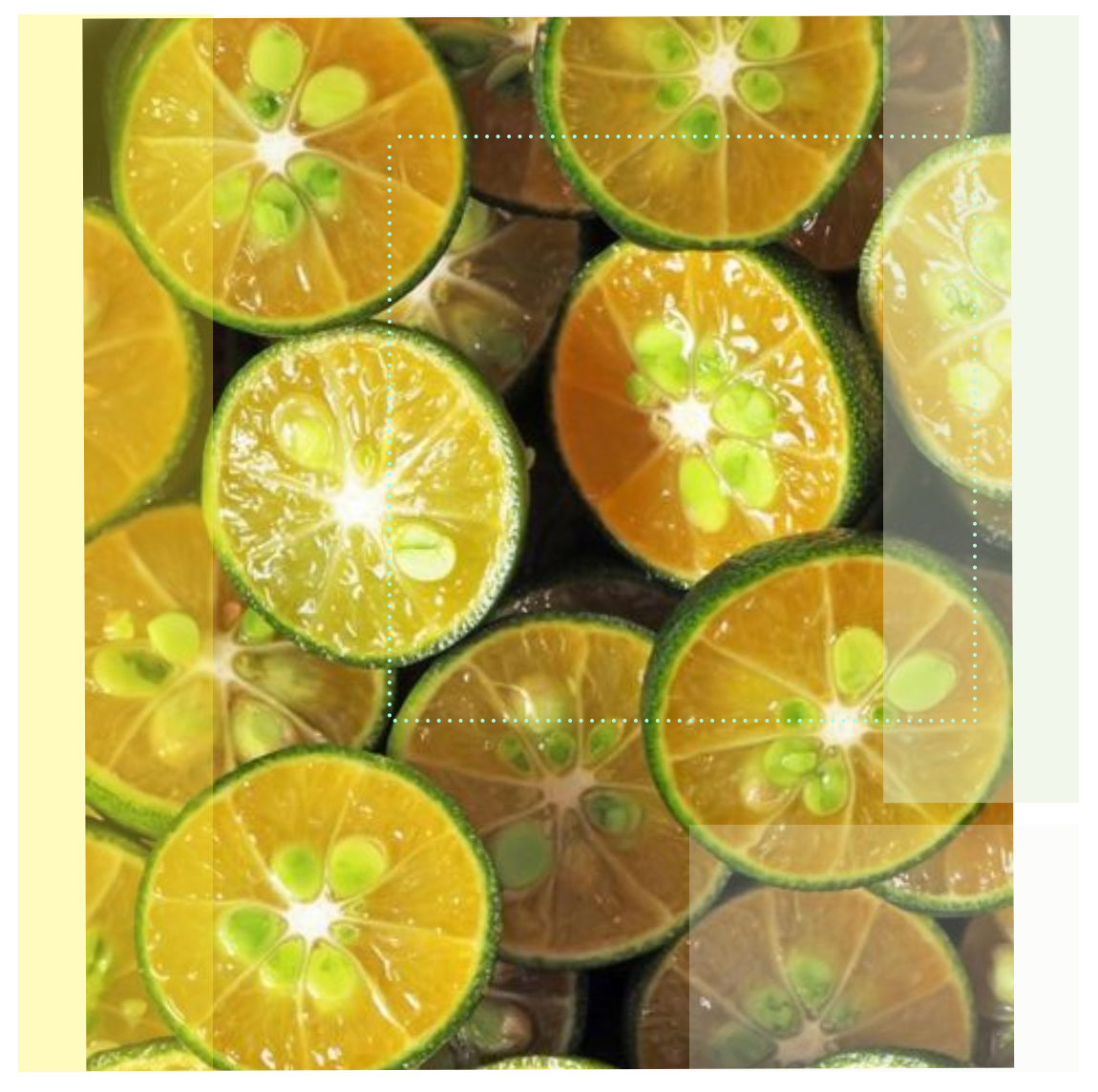 Screenshot 2019-09-05 at 12.08.56.png
