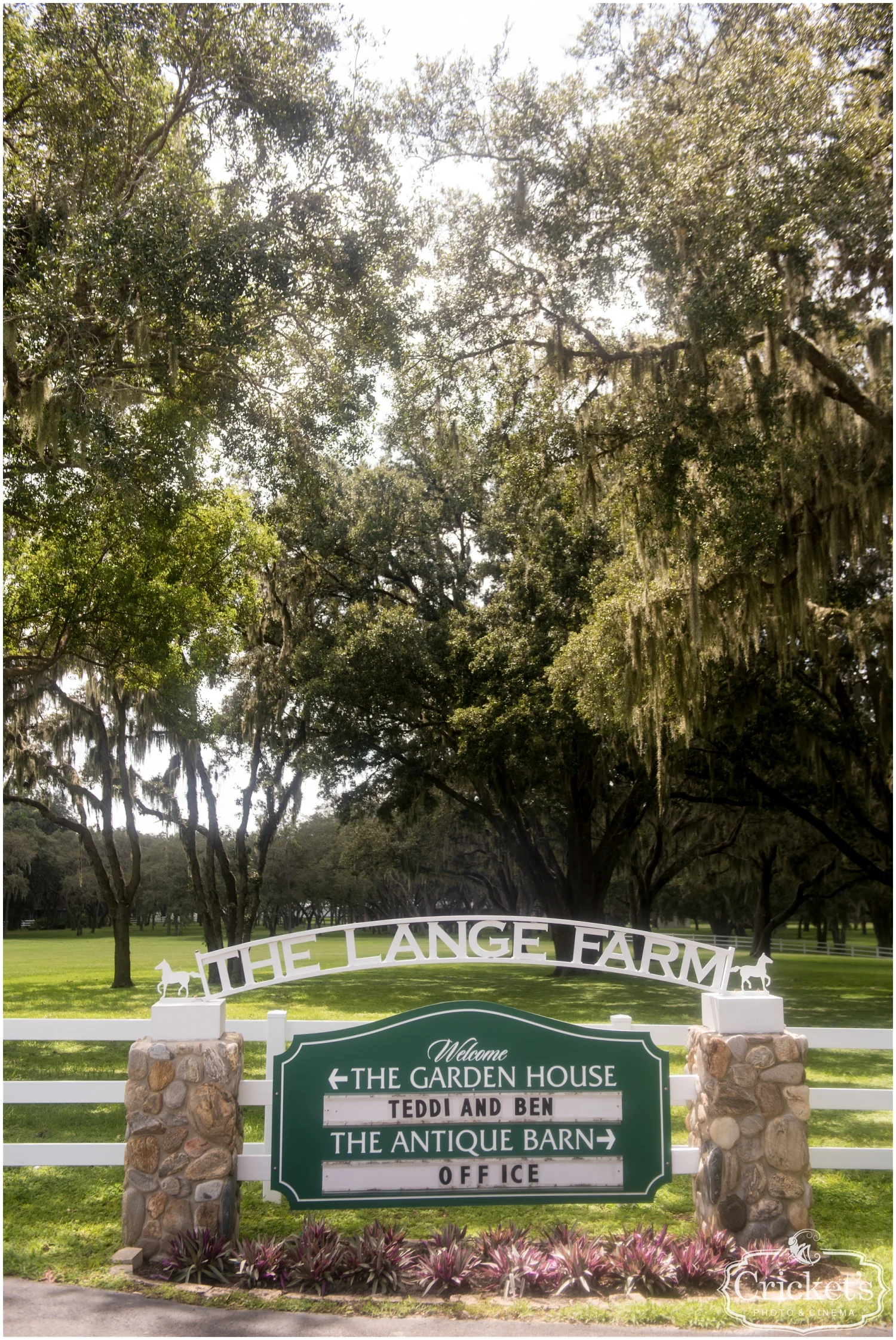 Florida Wedding