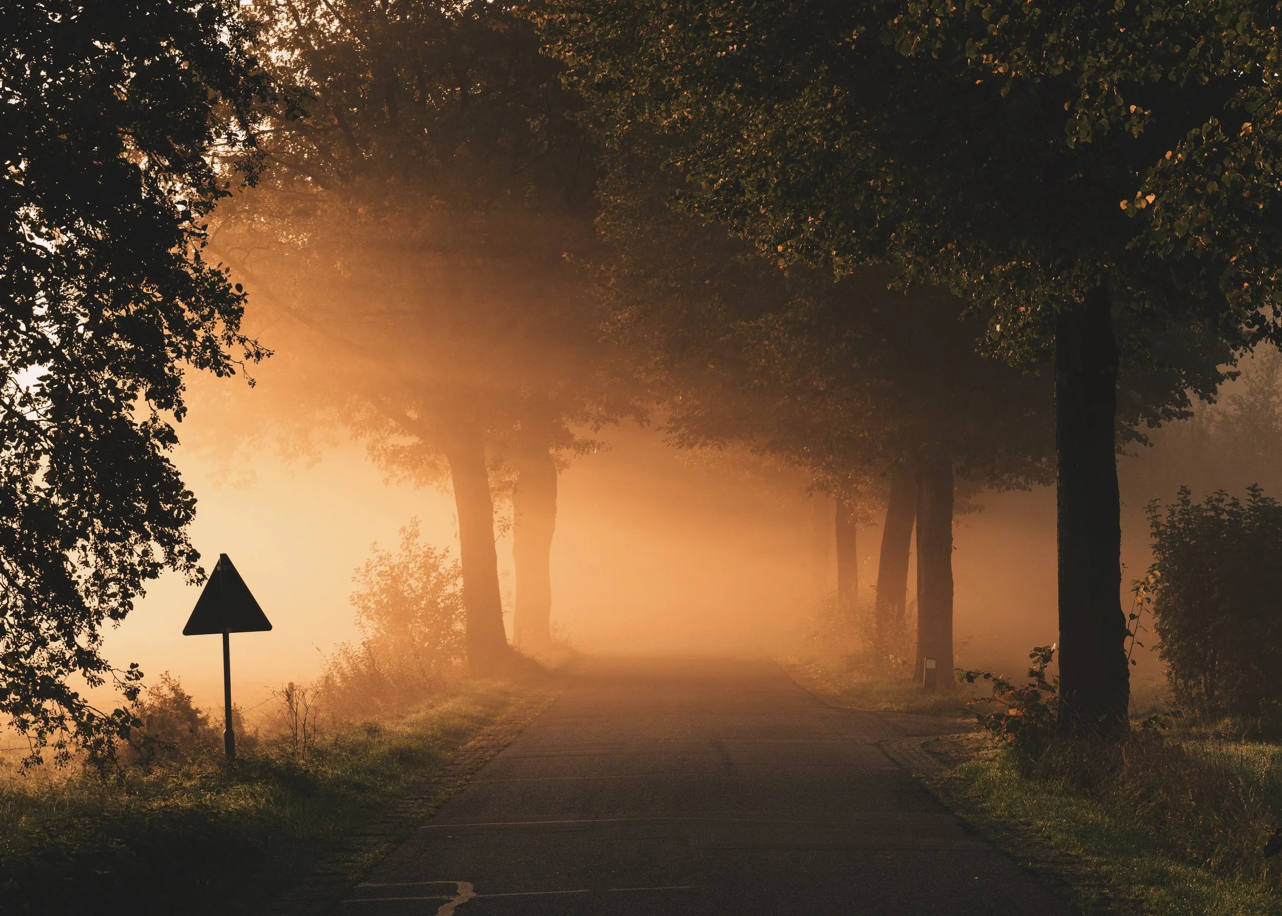 How a lack of bivisibility led to my indoctrination