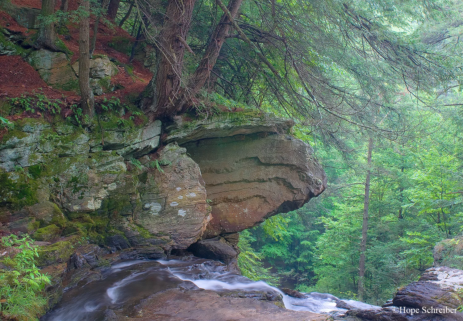 Campbell's Falls