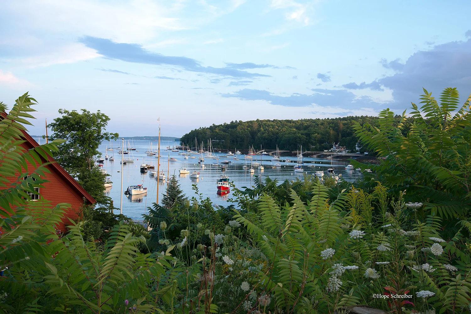 Rockport Harbor