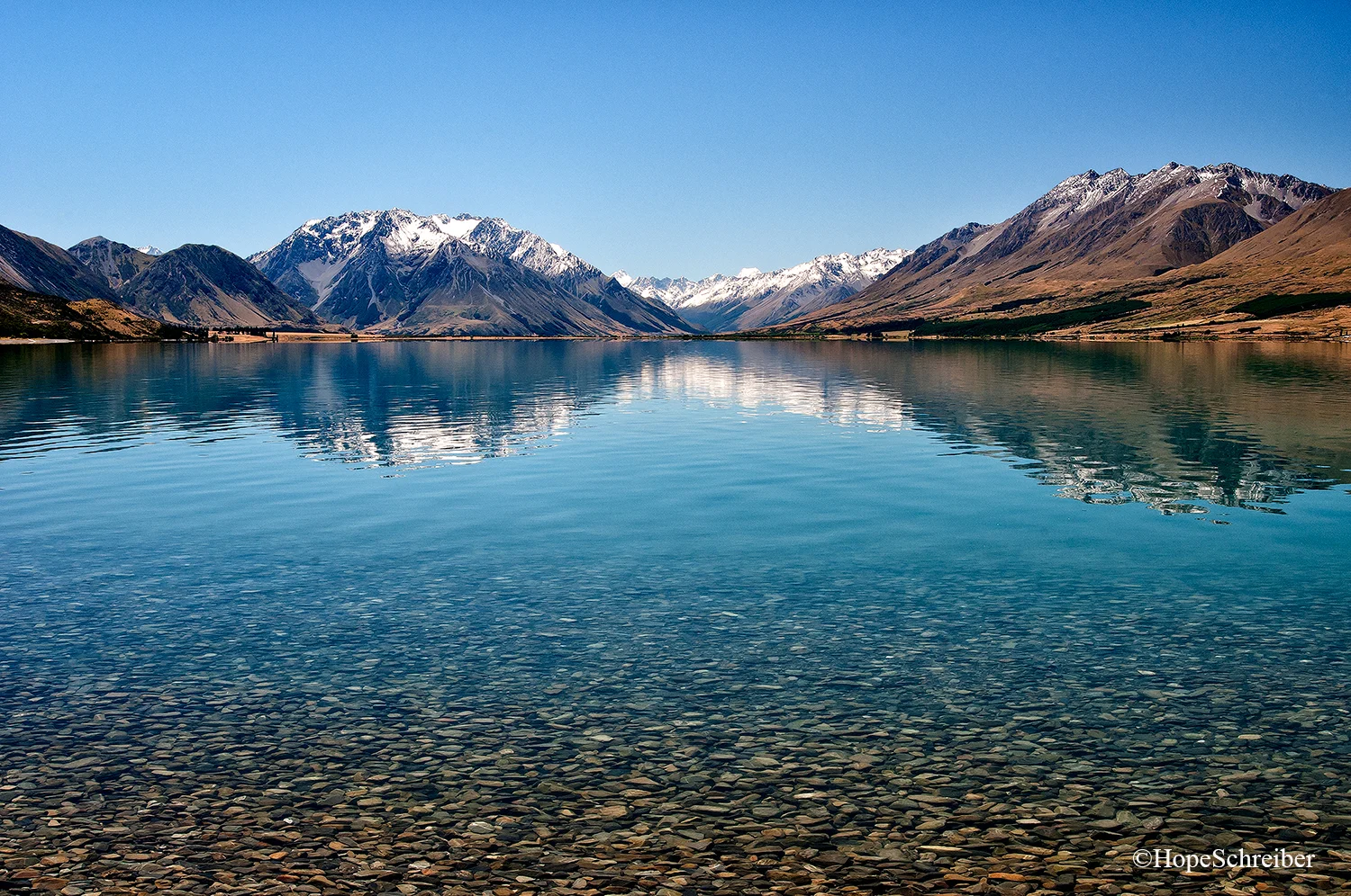 NZ3web.jpg