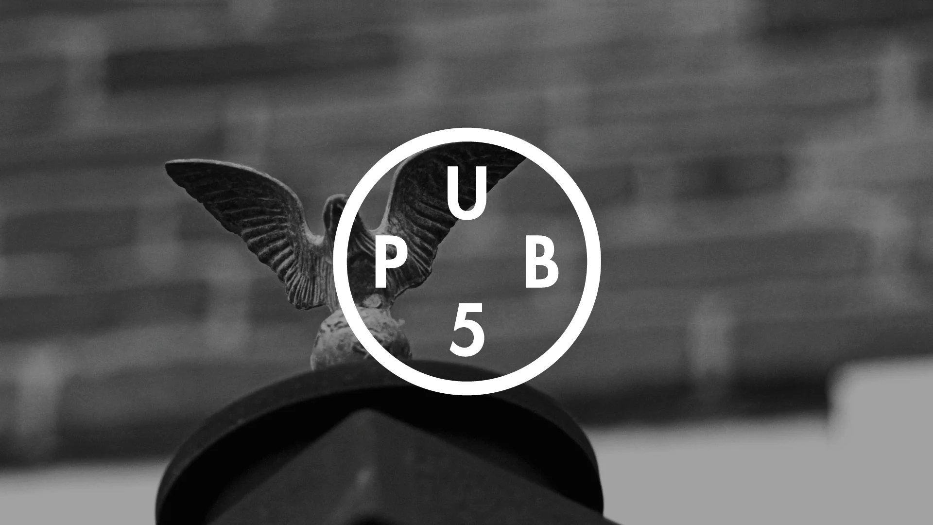 Pub5_Title_01.jpg