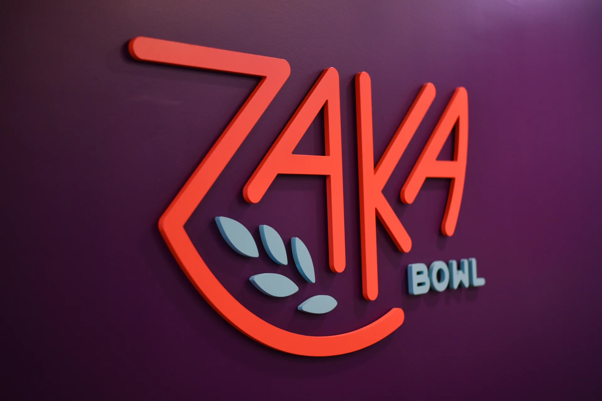 Zaka-Environment-2.jpg