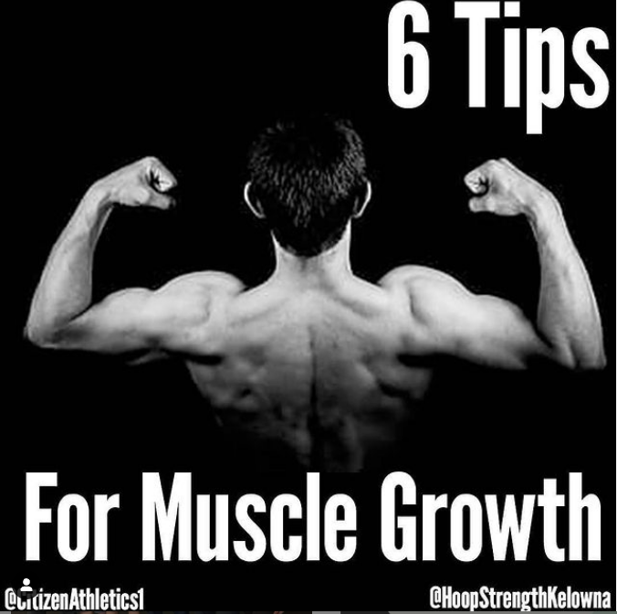 Tips for Building More Muscle...